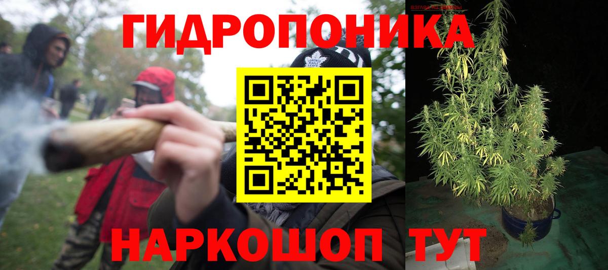 Бошки марихуана AK-47 Каменка